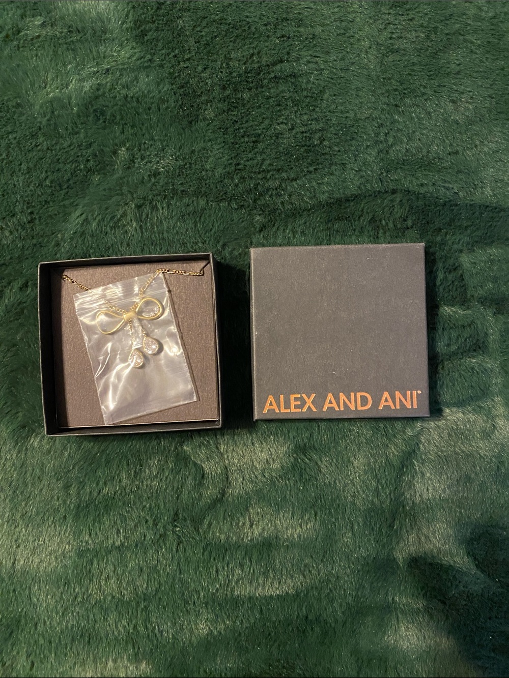 Alex and Ani Coquette Bow Slider Necklace - Picture 4 of 4